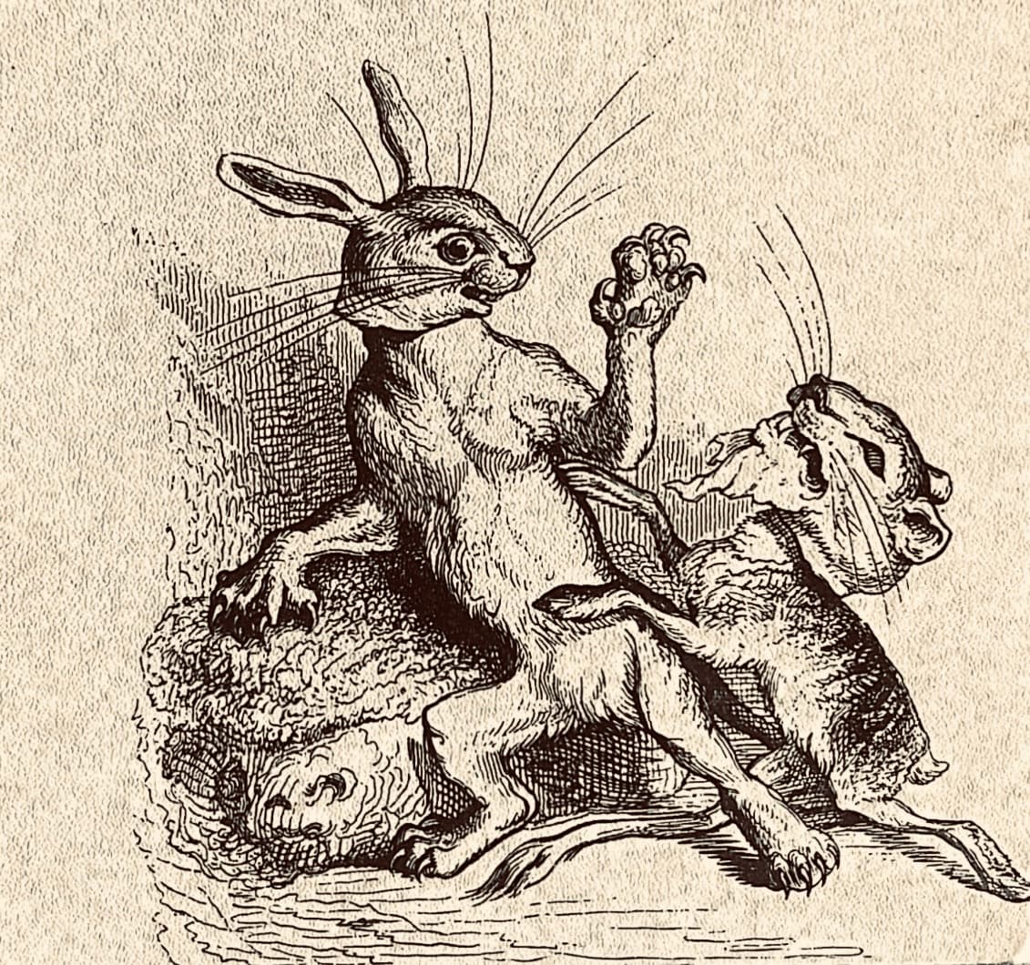 De Clara Casalegno para Patricia Fochi